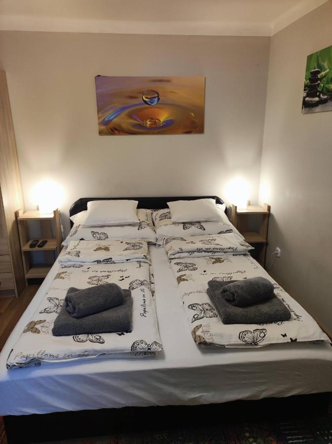 Green Garden Apartment Ingyenes Zart Parkoloval 세게드 외부 사진